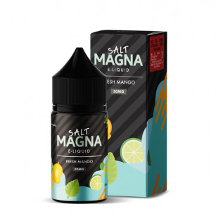 Líquido - Juice - Nic Salt - Magna - Fresh Mango - Mint Magna E - liquids - 2